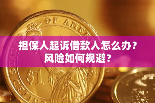 北京担保人起诉借款人怎么办？风险如何规避？