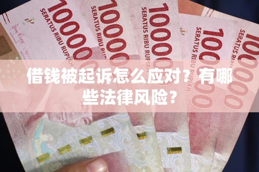 北京借钱被起诉怎么应对？有哪些法律风险？