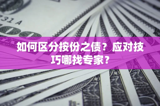 北京如何区分按份之债？应对技巧哪找专家？
