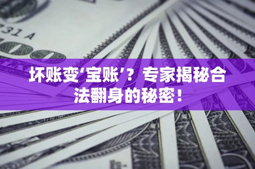北京坏账变‘宝账’？专家揭秘合法翻身的秘密！