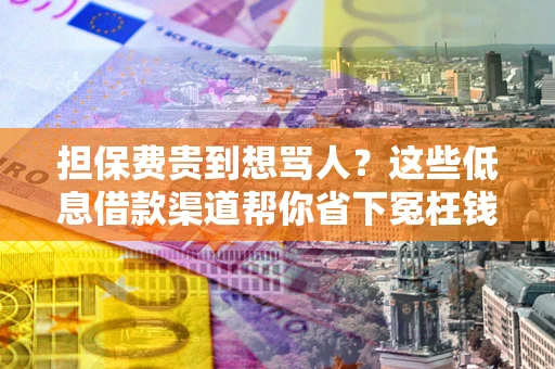北京担保费贵到想骂人？这些低息借款渠道帮你省下冤枉钱