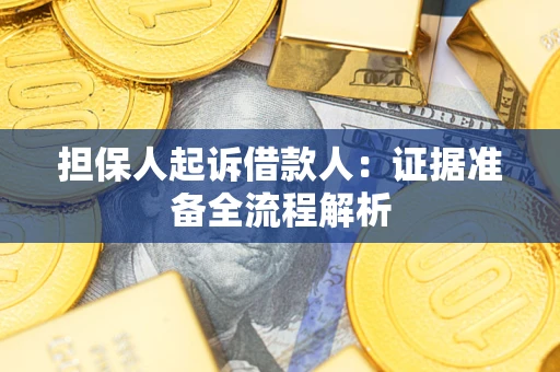 北京担保人起诉借款人：证据准备全流程解析