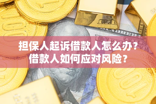 北京担保人起诉借款人怎么办？借款人如何应对风险？