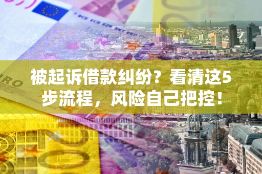 北京被起诉借款纠纷？看清这5步流程，风险自己把控！